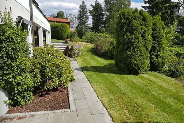 Grønn hage med belegningsstein